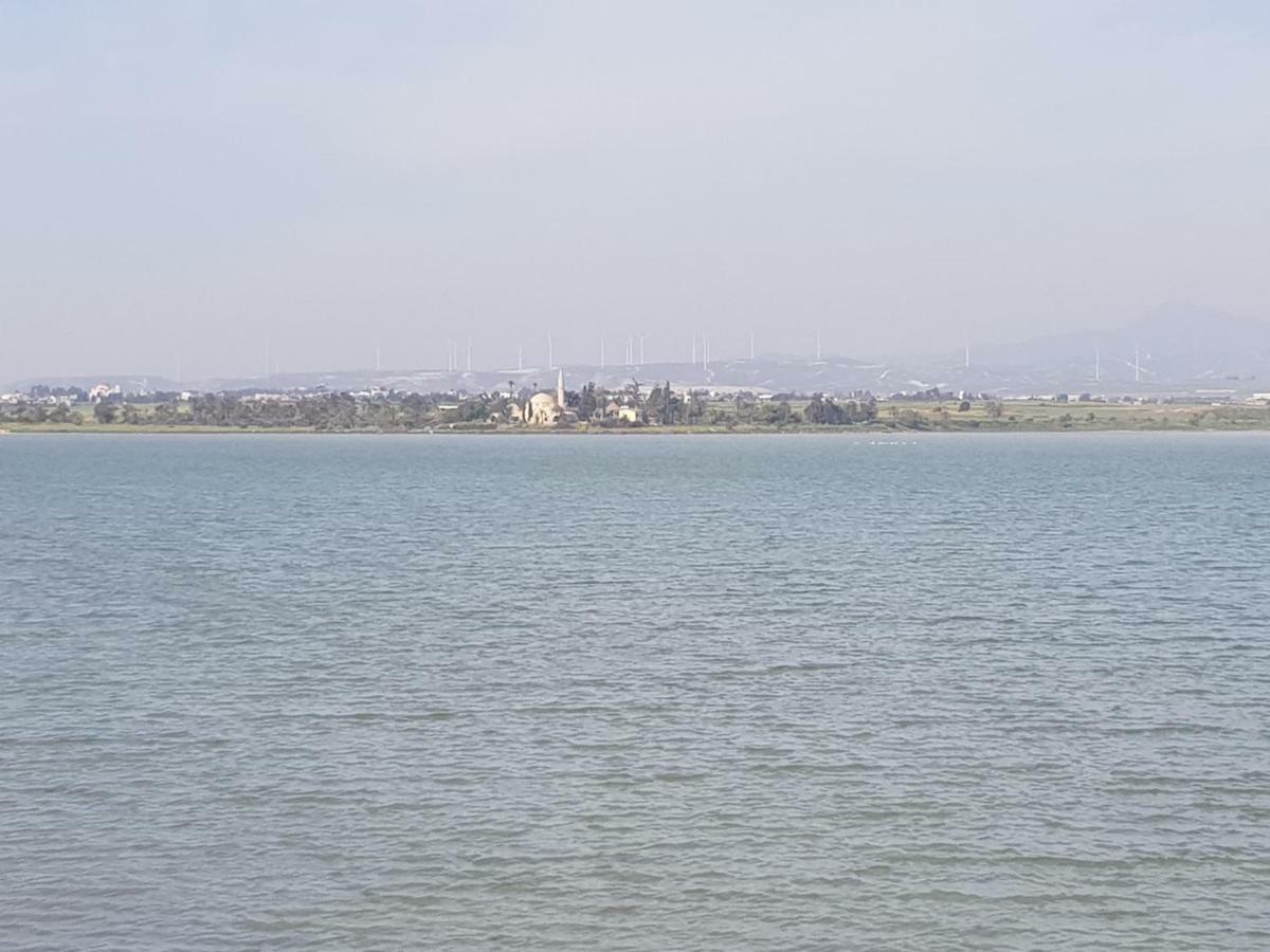 Haig'S Dream Flat On The Beach Larnaca Esterno foto
